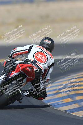 media/May-13-2023-SoCal Trackdays (Sat) [[8a473a8fd1]]/Turn 11 Backside (945am)/